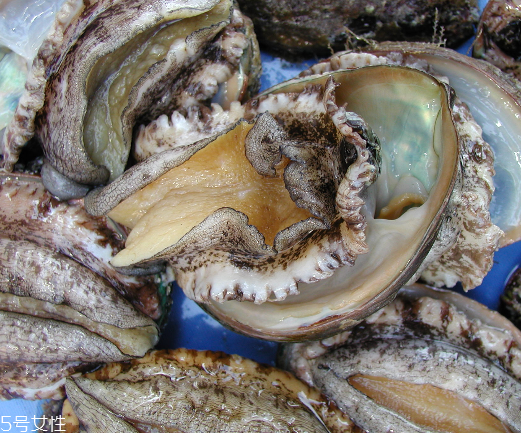 鲍鱼一次吃几个合适,鲍鱼每天吃几个