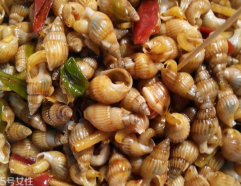 海螺有什么药用功效,海螺的功效和作用及药用价值