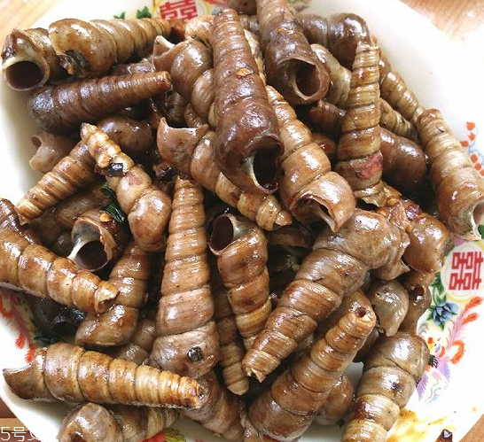 海螺小知识,什么样的海螺