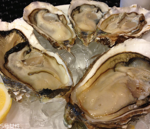 生蚝小知识,生蚝知识普及