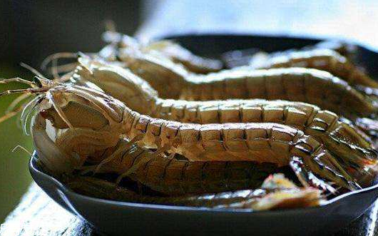 皮皮虾的营养和功效,皮虾的营养价值及功效