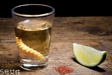 怎么喝龙舌兰酒,龙舌兰酒喝法