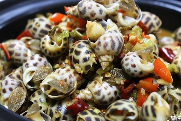 花螺的生长环境是怎么样的呢(花螺生活在什么环境)