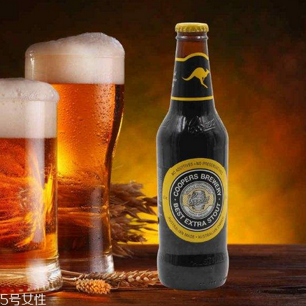 十大黑啤品牌,黑啤品牌排行榜