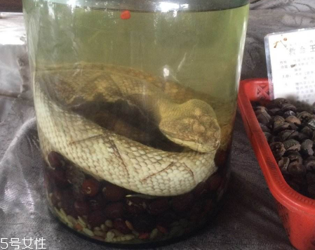 药酒配方,药酒用什么酒最好