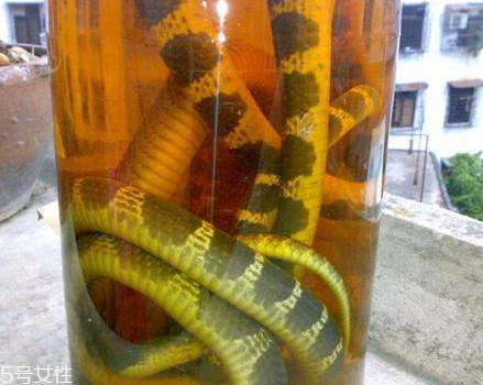 药酒的功效和作用,药酒的功效特点