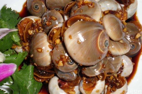 香螺的生长环境是怎么样的呢(香螺怎么养)