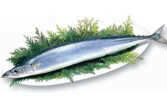 秋刀鱼有营养吗?,秋刀鱼有什么营养 秋刀鱼有营养吗?,秋刀鱼有什么营养