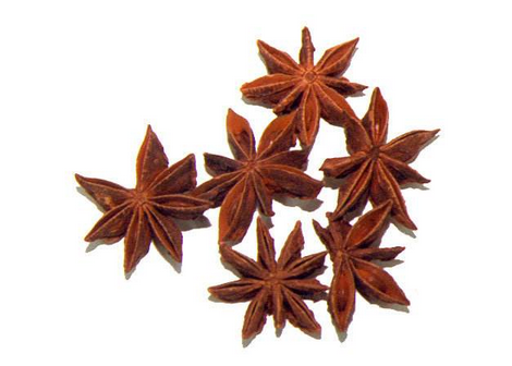 八角的功效和作用是什么,八角的药用价值及功效