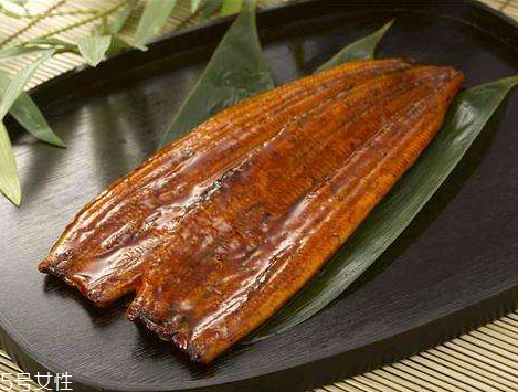 鳗鱼的营养成分,鳗鱼 营养 鳗鱼的营养成分,鳗鱼 营养