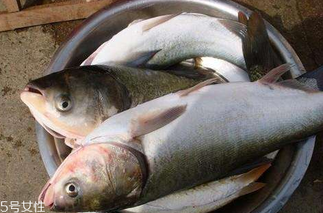 吃鲢鱼的好处和坏处,吃鲢鱼的好处