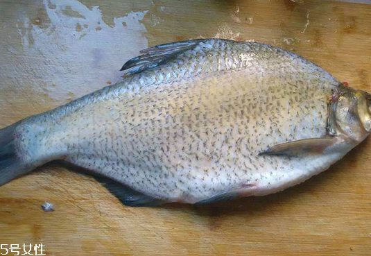 鳊鱼的禁忌人群,鲮鱼的禁忌人群