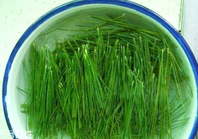 松针酵素的功效和作用,松针酵素的配方