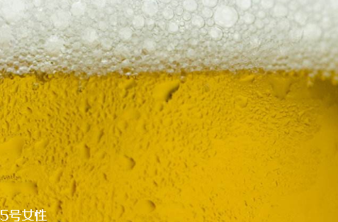 啤酒的热量高吗会胖吗,啤酒能长胖吗