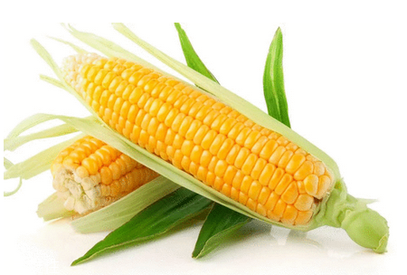 玉米油富含维生素,玉米油富含维生素k吗 玉米油富含维生素,玉米油富含维生素k吗