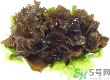 秋天适合吃木耳(秋天适合吃木耳吗)