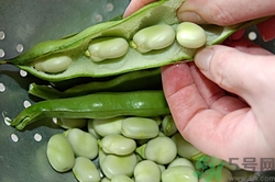 慕金脱毛仪的使用感受(慕金脱毛仪有用吗)