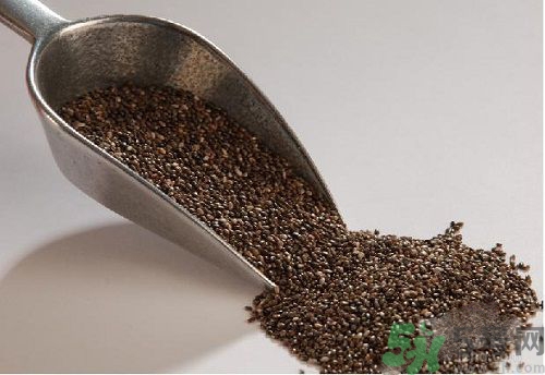 奇亚籽的禁忌(奇亚籽的禁忌人群)