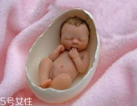 怀孕前三个月真的不能说吗(怀孕前三个月真的不能说吗)