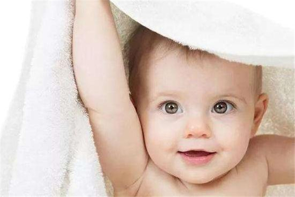 婴儿几岁学认字最好(宝宝几岁学认字比较好)