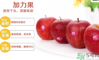 姬娜果的作用(姬娜果产地)