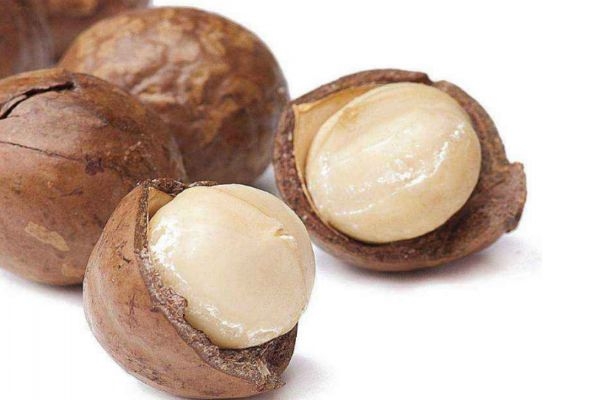 夏威夷果一般几月份成熟呢(夏威夷果成熟季节几月份)