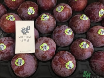 恐龙蛋的功效作用(恐龙蛋的功效和作用)