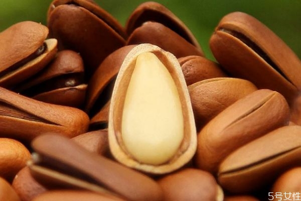 松子的热量高吗(巴西松子的热量高吗)