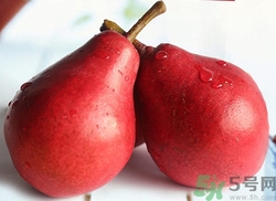红啤梨的营养价值(红啤梨的营养价值及功效)