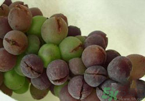 葡萄什么时候吃最好(葡萄什么时候吃最好?)