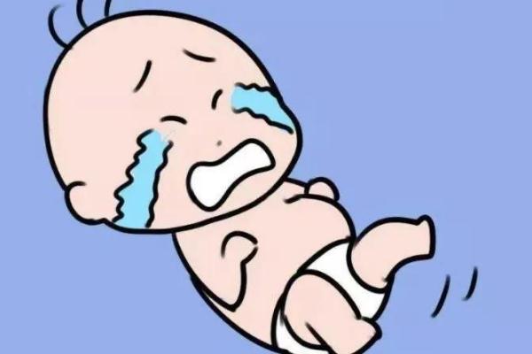 烧酒为什么要叫烧酒呢(什么是烧酒)