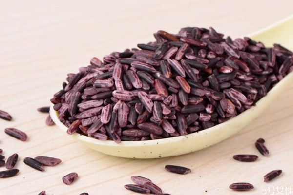紫米有什么营养价值呢(紫米的营养价值)