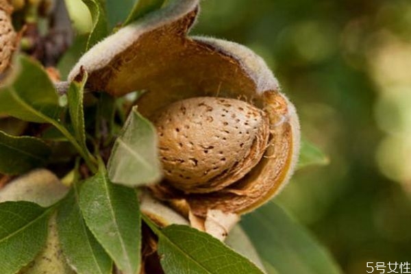 办理托运的化妆品有要求吗,托运化妆品有什么要求吗