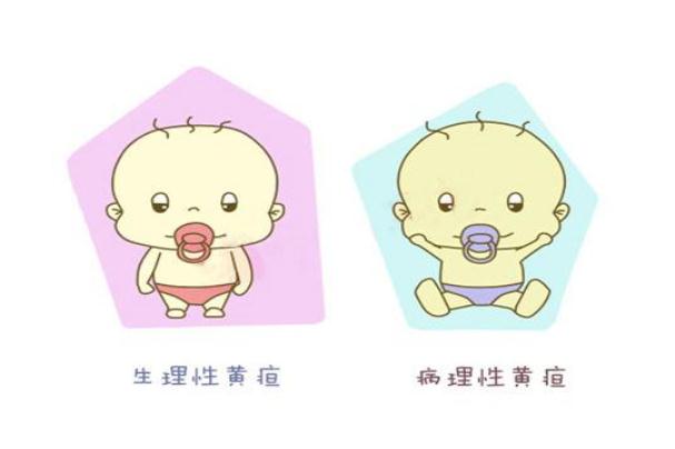 新生儿黄疸会自己消退吗(新生儿黄疸会自己消退吗)