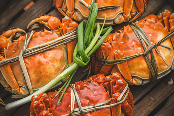 大闸蟹怎么分辨公母(大闸蟹母蟹和公蟹的区别)