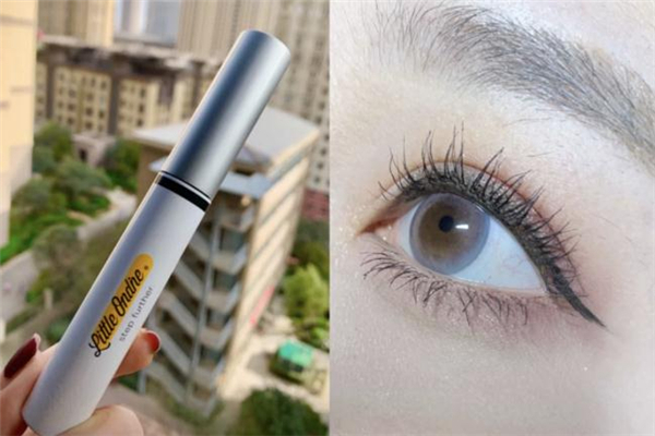 夏季如何补水(夏季如何补水保湿)