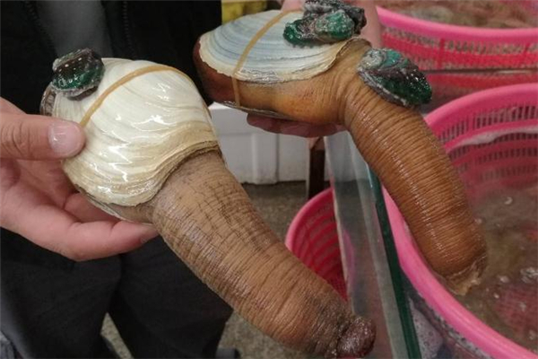 倍舒痕可以去痘印吗,倍舒痕对痘印有效果吗