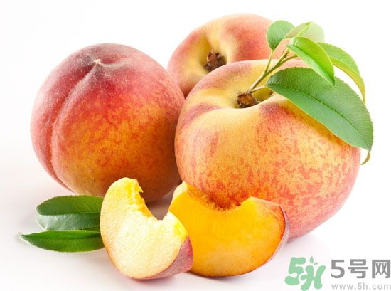 后系列介绍(后系列产品介绍及价格)