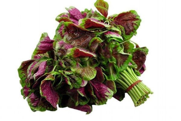 红苋菜会掉色吗(红苋菜会掉色吗)