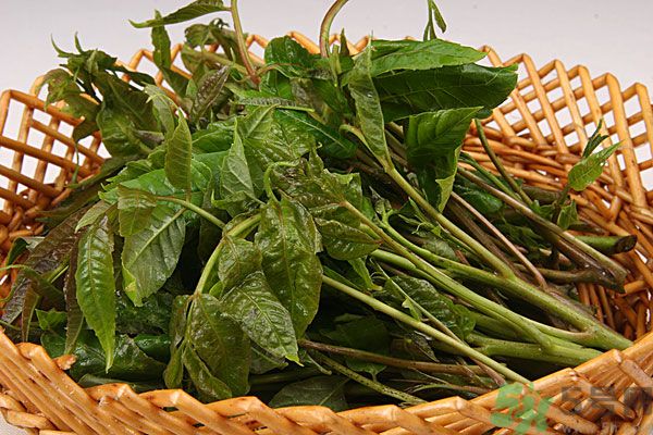 食用功效:(食用活性炭的功效) 食用功效:(食用活性炭的功效)