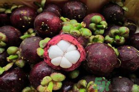 山竹和什么相克(山竹和什么相克)