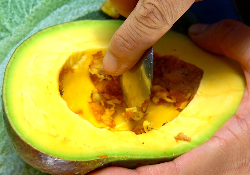 一叶子精华液功效(一叶子精华液功效)