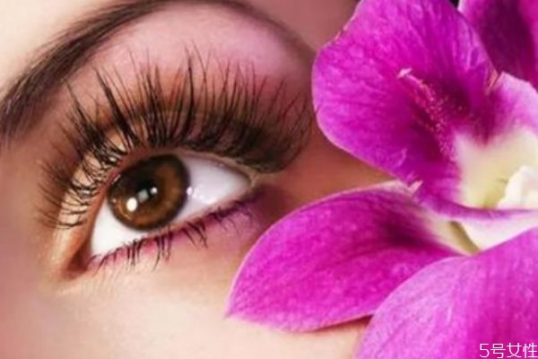 同品牌同系列水乳搭配更省心(不同品牌的水乳可以搭配使用吗) 同品牌同系列水乳搭配更省心(不同品牌的水乳可以搭配使用吗)