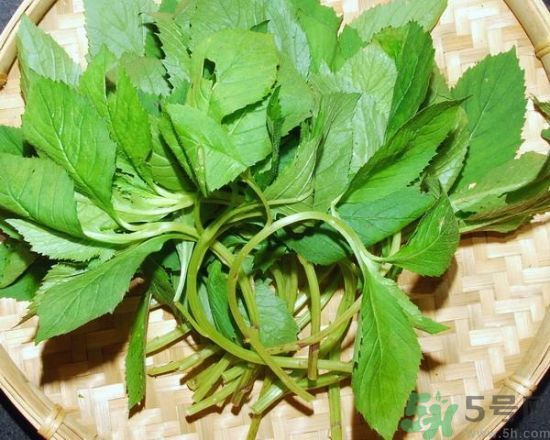 荠菜泡水喝有什么好处(荠菜泡水喝有什么好处?)