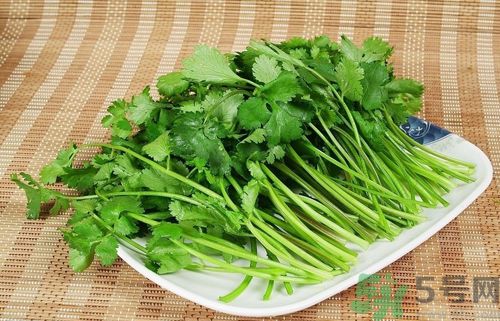 第三：香菜(第三香菜)