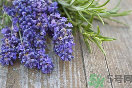 抗炎食物三(抗炎饮食和食谱)