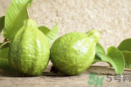 吃番石榴籽会便秘？(吃番石榴籽会便秘吗)