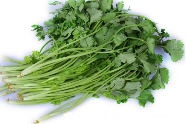 青春痘和成人痘的区别,青春痘和成人痘有什么区别