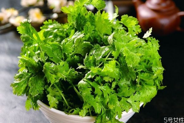 香菜生长在什么环境里呢(香菜的生长环境)