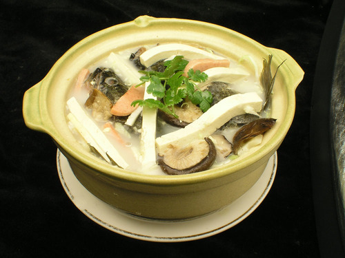 豆腐瘦身法不会带来压力(豆腐能减肥)